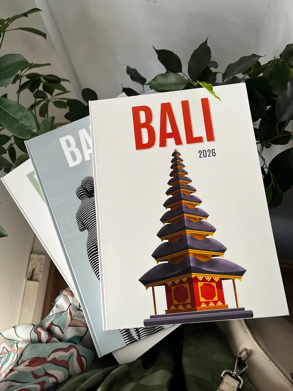 Bali: fotokitaplar bir arada