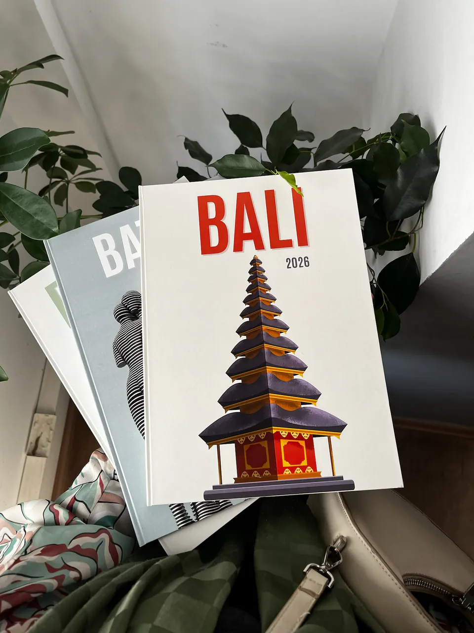 Bali: fotokitaplar bir arada