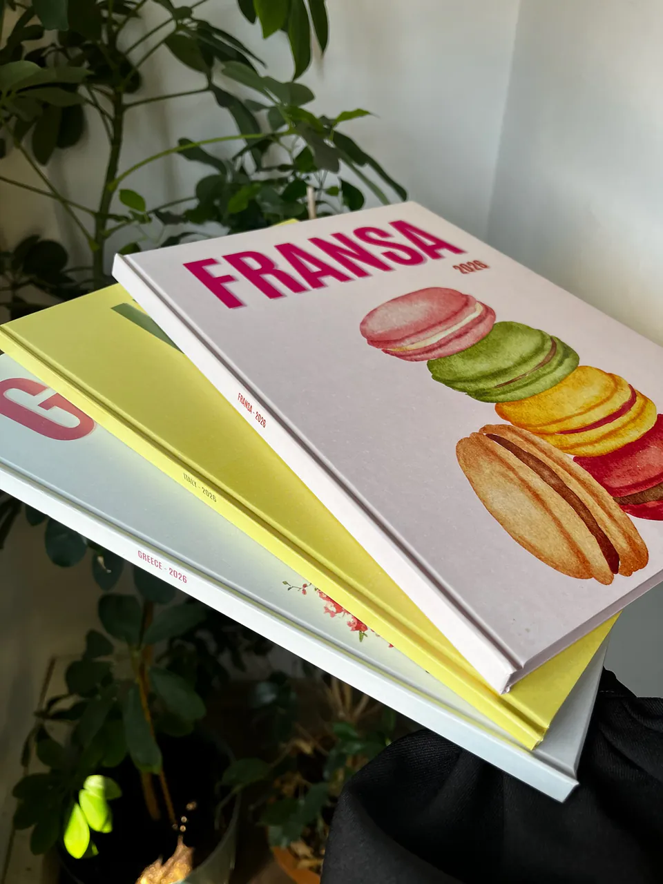 Fransa ve seyahat kitapları: fotokitaplar bir arada
