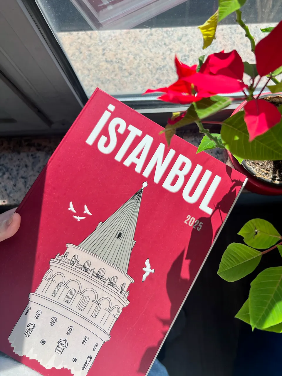 İstanbul kapaklı fotokitap, Atatürk çiçekleriyle