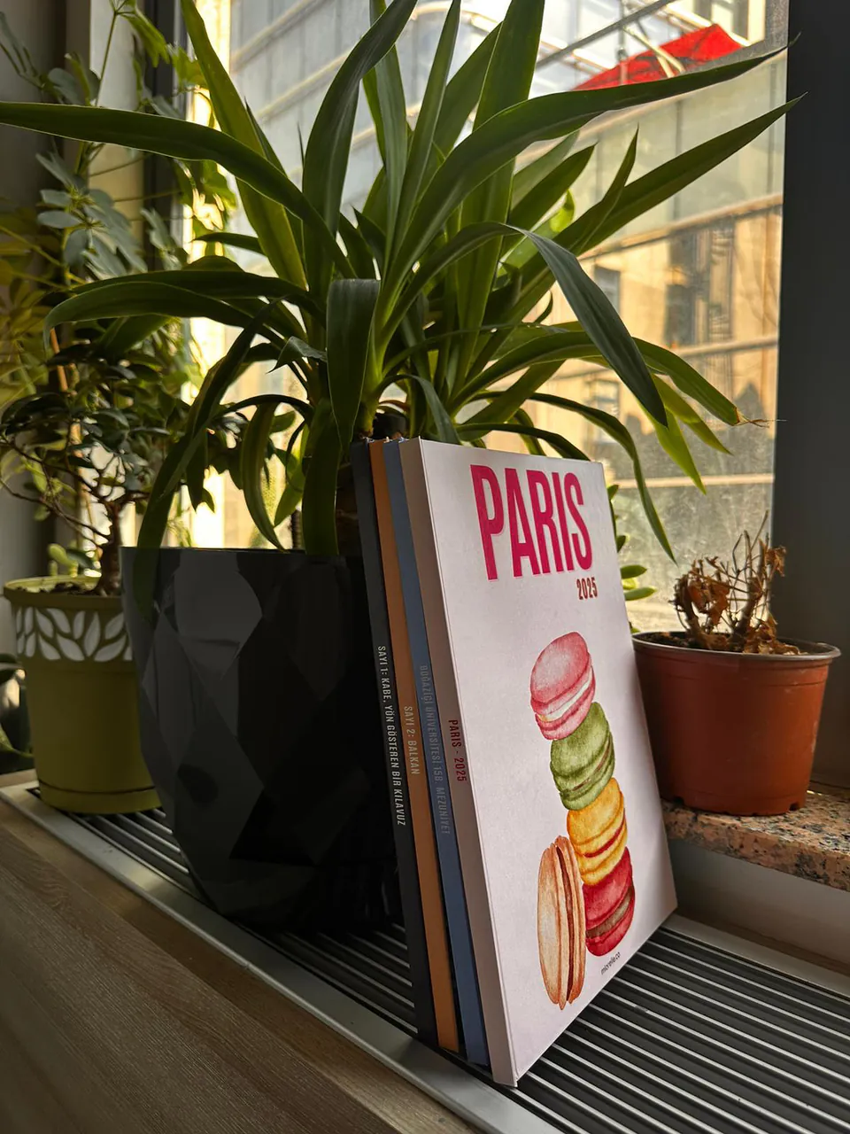Paris kapaklı fotokitap, pencere önünde bitkilerle